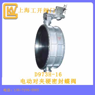 電動(dòng)對(duì)夾硬密封蝶閥