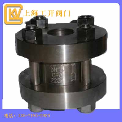 止回閥  對(duì)夾立式止回閥